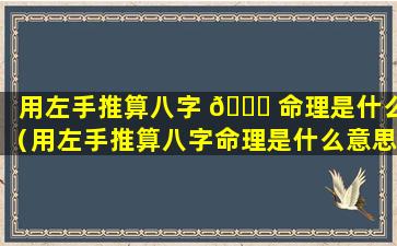 用左手推算八字 🐋 命理是什么（用左手推算八字命理是什么意思 🐳 ）